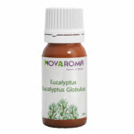 encalyptus by novaroma